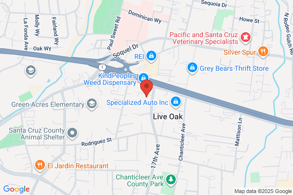 Chris Bordner Auto Body Inc