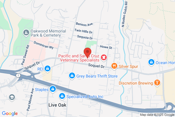Soquel Transmission Clinic