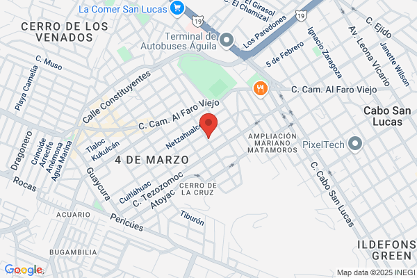 Los Cabos Carpet Cleaning