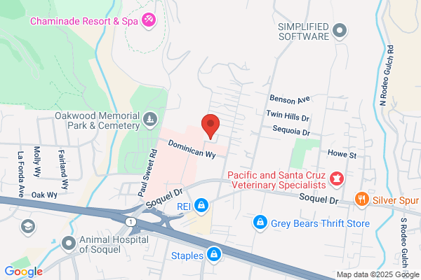 Matiasevich Robert DDS Inc