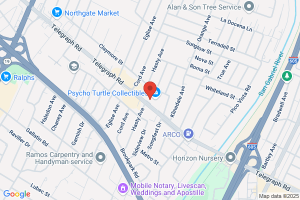 Laura F. Dominguez Realtor/ Mobile Notary