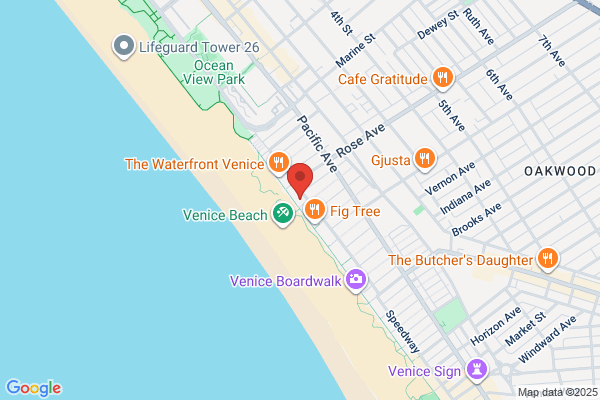 Venice Beach Art