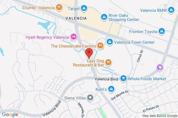 Vista Garage professionals