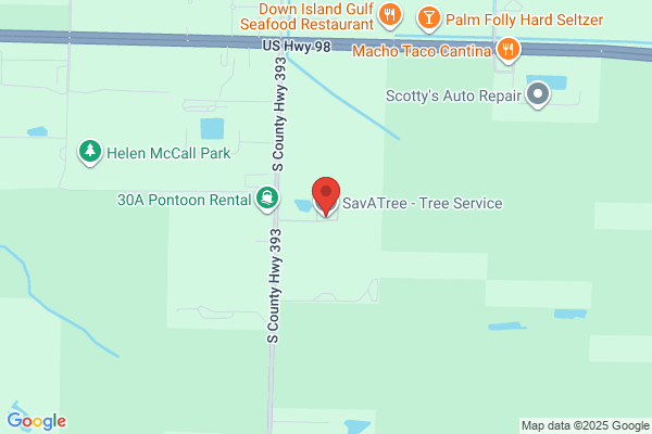 SavATree - Tree Service