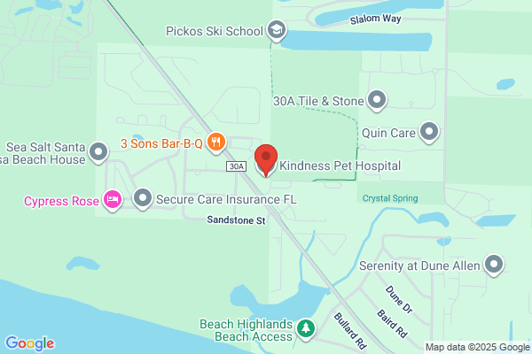 Kindness Pet Hospital