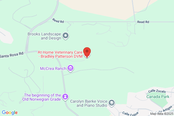 At Home Veterinary Care - Bradley Patterson DVM