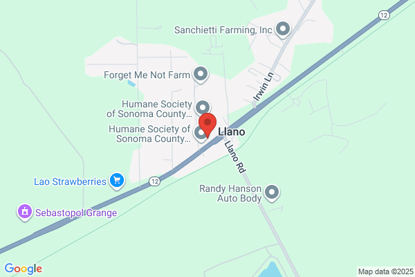 Laguna Veterinary Hospital