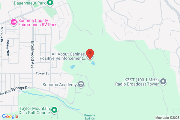 Dog Training Santa Rosa