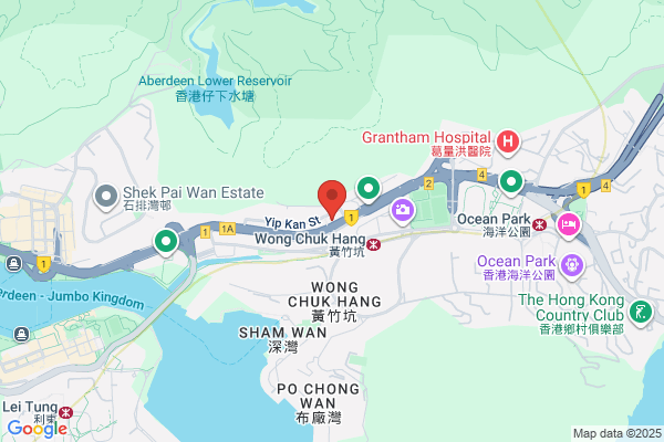 Wong Lulu L