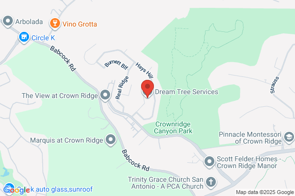 Your Dream Tree Service