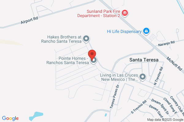 Alaniz Sal & Associates Inc