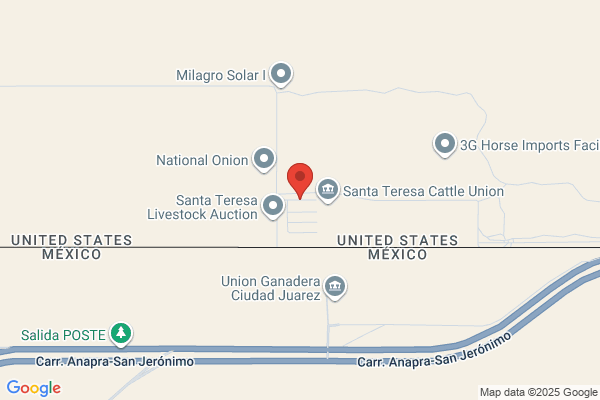 El Paso Cattle Company Inc