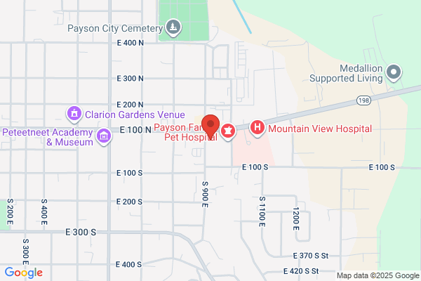 Utah Avenue Insurance