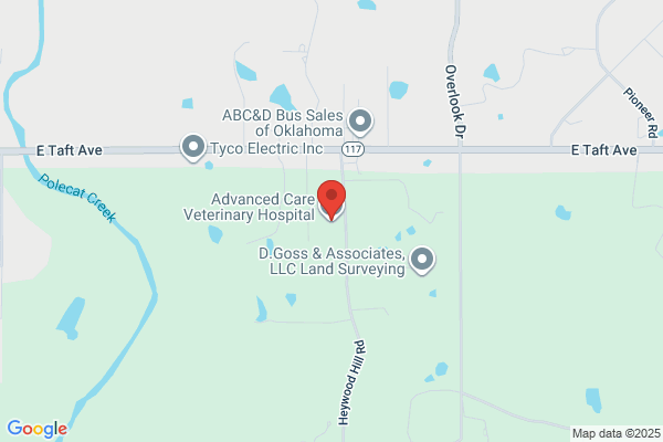 Advanced Care Veterinary Hospital