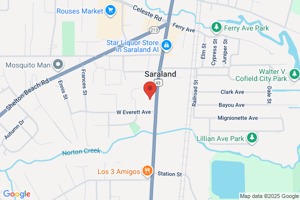 Advance Auto Parts