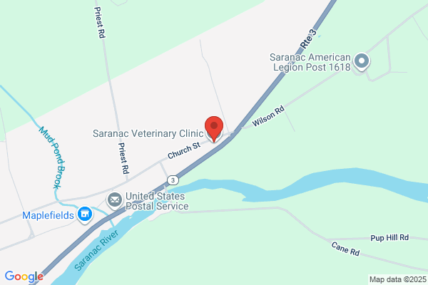 Saranac Veterinary Clinic