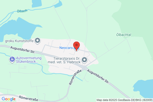 Neo Automotive