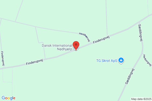 Dansk International