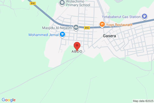 Abdo, Moufid, MD