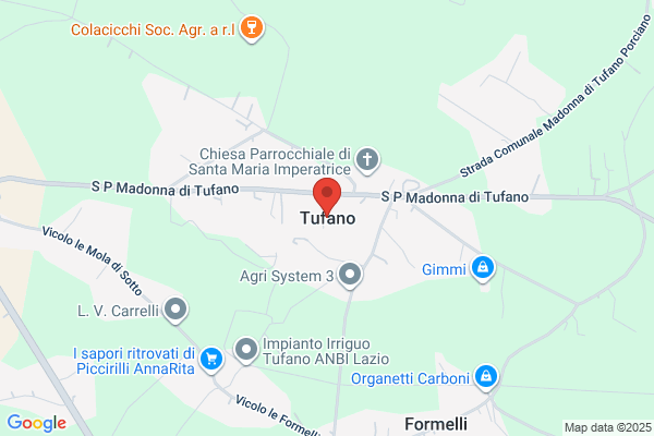 Tufano, Ralph P., MD, MBA, FACS