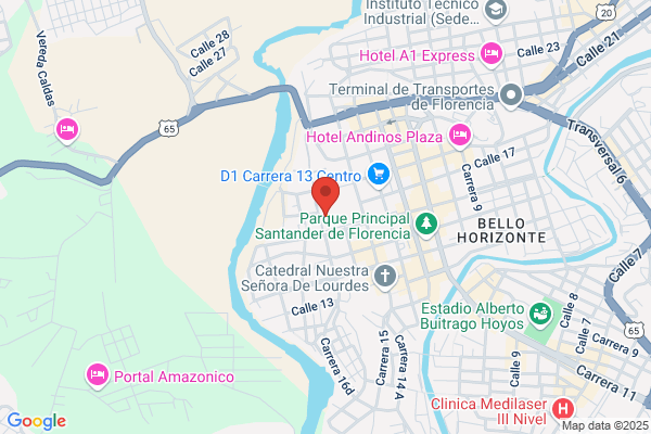Ejercito, Lorena L., MD