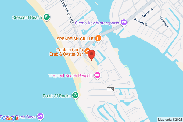 Green Turtle Shell & Gift City