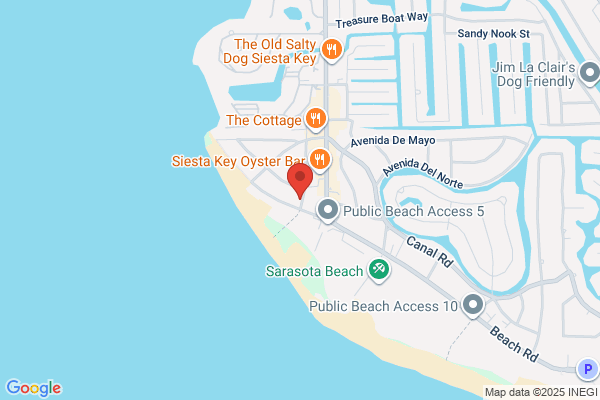 Beach Palms