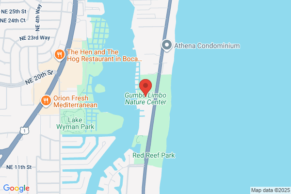Gumbo Limbo Heidersberger