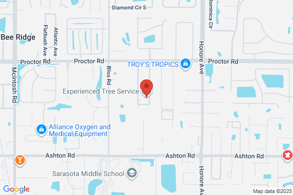 Experienced Tree Service LLC