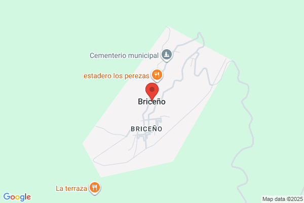 Briceno, Pedro J., MD
