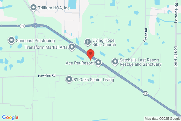 Braden River Equine