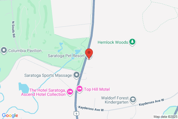 Saratoga Pet Resort