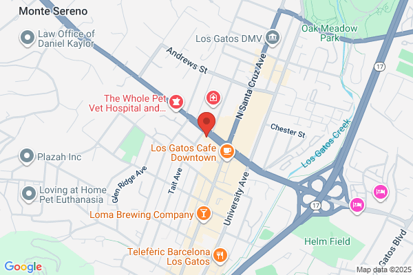 Diner of Los Gatos the