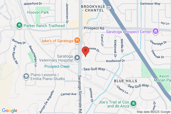 Saratoga Star Aquatics-Live