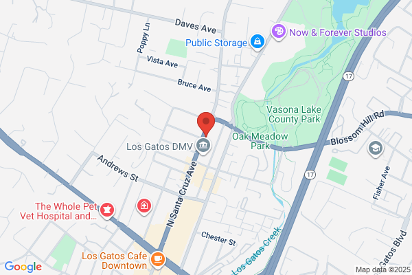 Los Gatos Travel