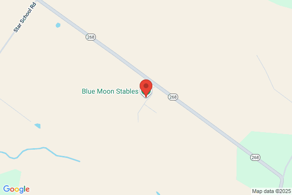 Bluemoon Stables