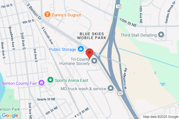 Andrew S Wilcox DDS