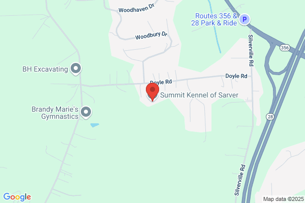 Summit Kennel of Sarver
