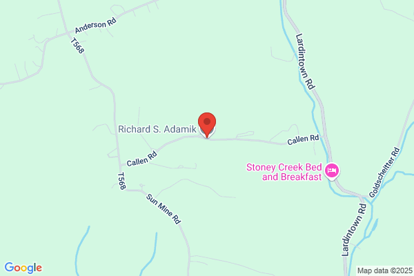 Adamik Richard S Trucking