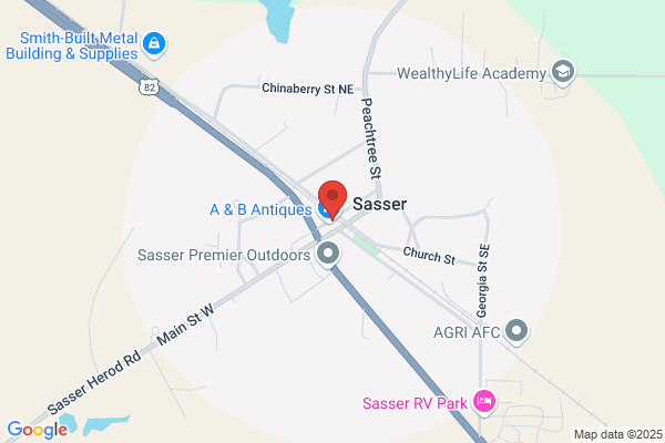 Sasser City Hall