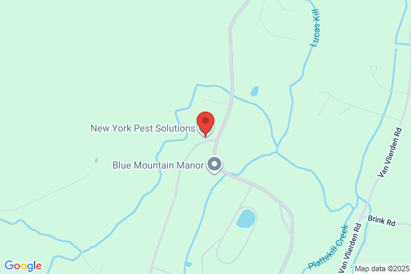 New York Pest Solutions