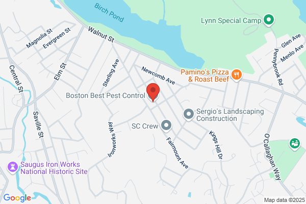 Boston Best Pest Control