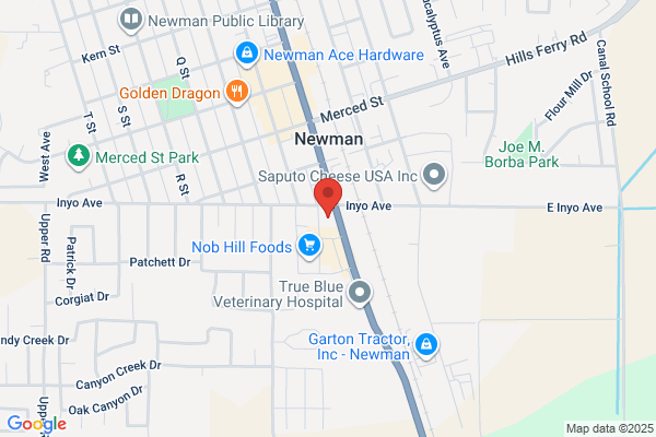 Newman Repair