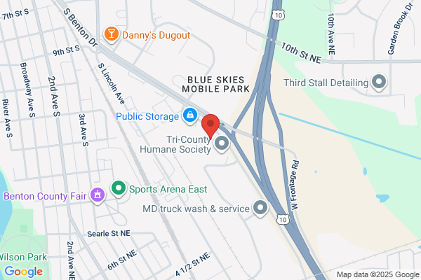 Andrew S Wilcox DDS