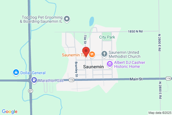 Saunemin Grain Co