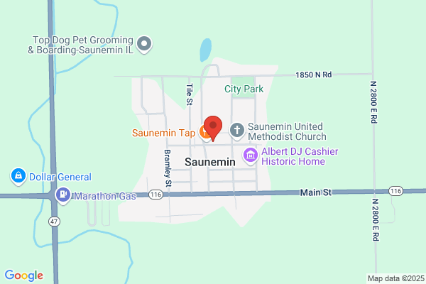 Village of Saunemin Community Building