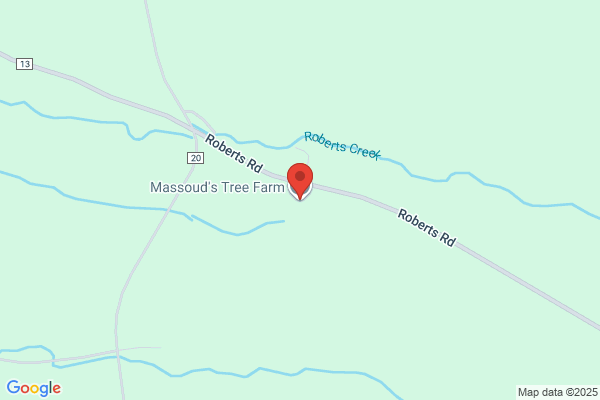 Massouds Tree Farm
