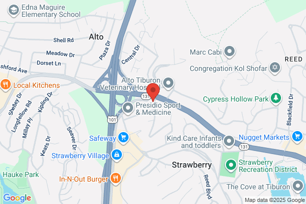 JCC Preschool - Mill Valley