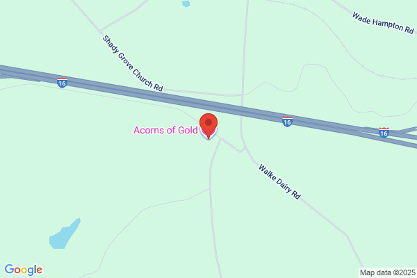 Acorns of Gold LLC
