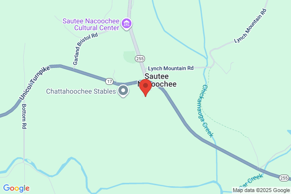 Georgia Mountain Rentals